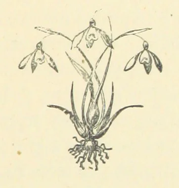 An illustration from The Poor Clerk and his Crooked Sixpence, 1874, leaf 139