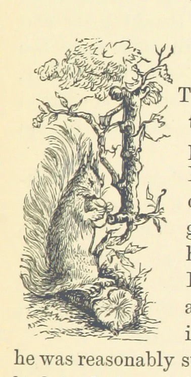 An illustration from The Poor Clerk and his Crooked Sixpence, 1874, leaf 211