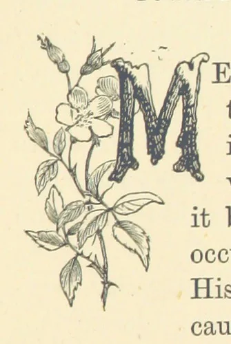 An illustration from The Poor Clerk and his Crooked Sixpence, 1874, leaf 65