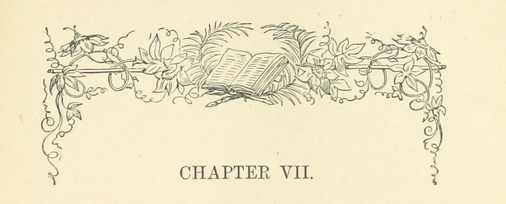 An illustration from The Poor Clerk and his Crooked Sixpence, 1874, leaf 65