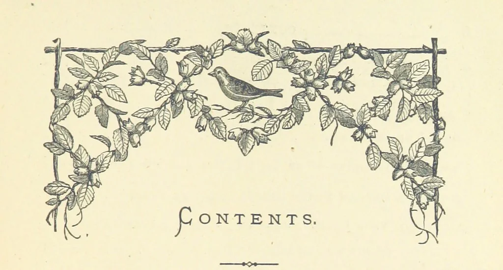 An illustration from The Poor Clerk and his Crooked Sixpence, 1874, leaf 9