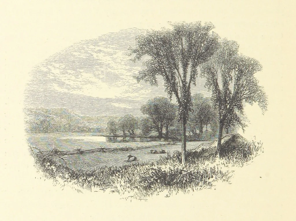 An illustration from Festival of Song: a series of Evenings with the Poets. Prepared by the author of “Salad for the Solitary” ... (F. Saunders). With ... pictures by Members of the National Academy of Design. Engraved by Bobbett and Hooper, 1866, leaf 116