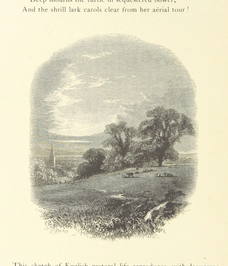 An illustration from Festival of Song: a series of Evenings with the Poets. Prepared by the author of “Salad for the Solitary” ... (F. Saunders). With ... pictures by Members of the National Academy of Design. Engraved by Bobbett and Hooper, 1866, leaf 176