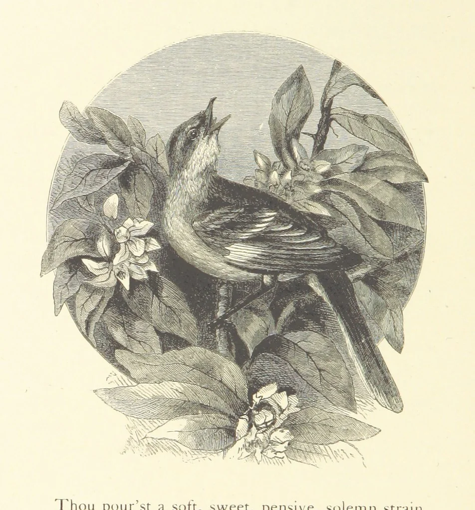An illustration from Festival of Song: a series of Evenings with the Poets. Prepared by the author of “Salad for the Solitary” ... (F. Saunders). With ... pictures by Members of the National Academy of Design. Engraved by Bobbett and Hooper, 1866, leaf 180
