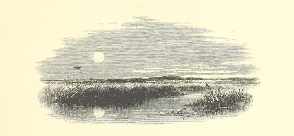 An illustration from Festival of Song: a series of Evenings with the Poets. Prepared by the author of “Salad for the Solitary” ... (F. Saunders). With ... pictures by Members of the National Academy of Design. Engraved by Bobbett and Hooper, 1866, leaf 245