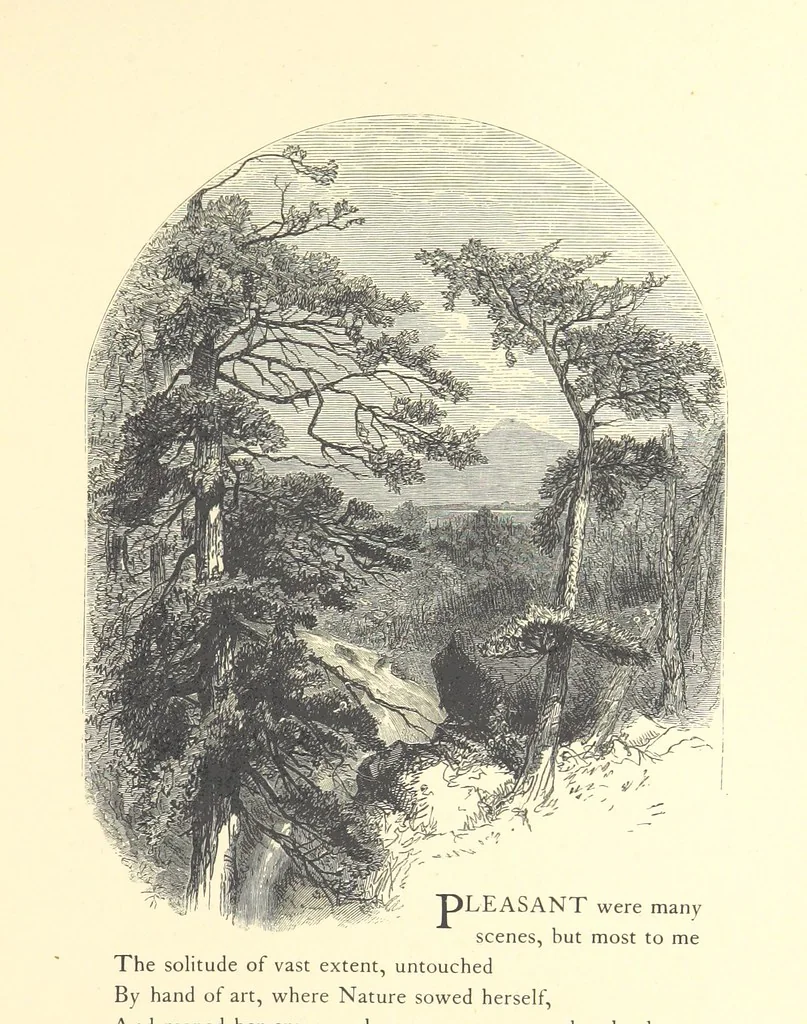 An illustration from Festival of Song: a series of Evenings with the Poets. Prepared by the author of “Salad for the Solitary” ... (F. Saunders). With ... pictures by Members of the National Academy of Design. Engraved by Bobbett and Hooper, 1866, leaf 259