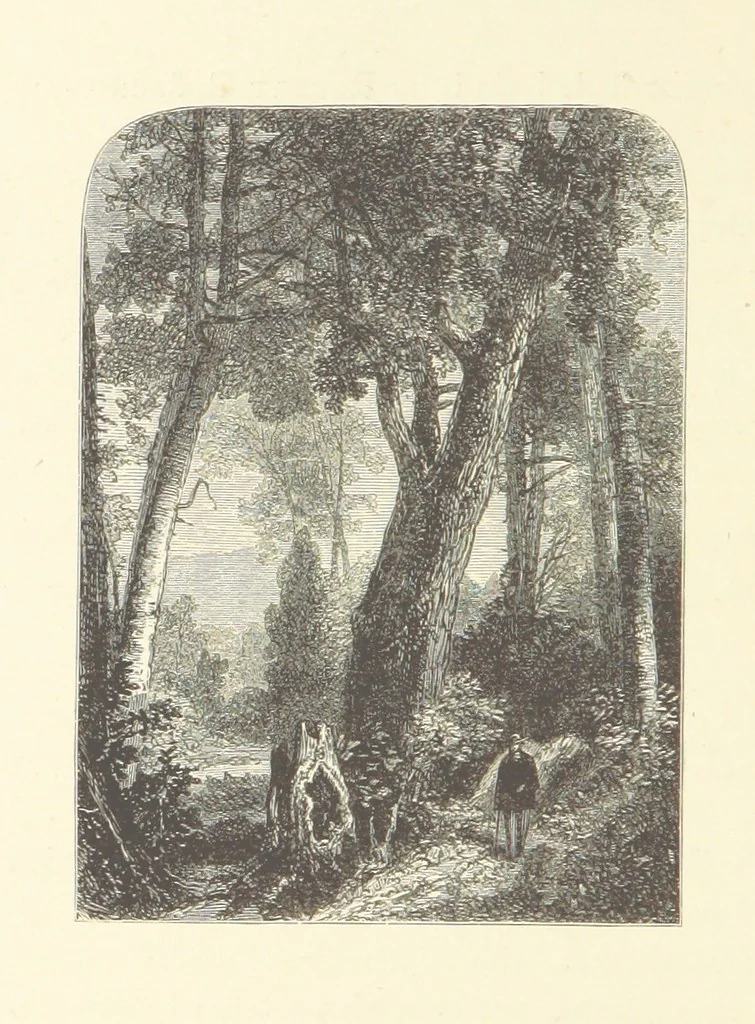 An illustration from Festival of Song: a series of Evenings with the Poets. Prepared by the author of “Salad for the Solitary” ... (F. Saunders). With ... pictures by Members of the National Academy of Design. Engraved by Bobbett and Hooper, 1866, leaf 288