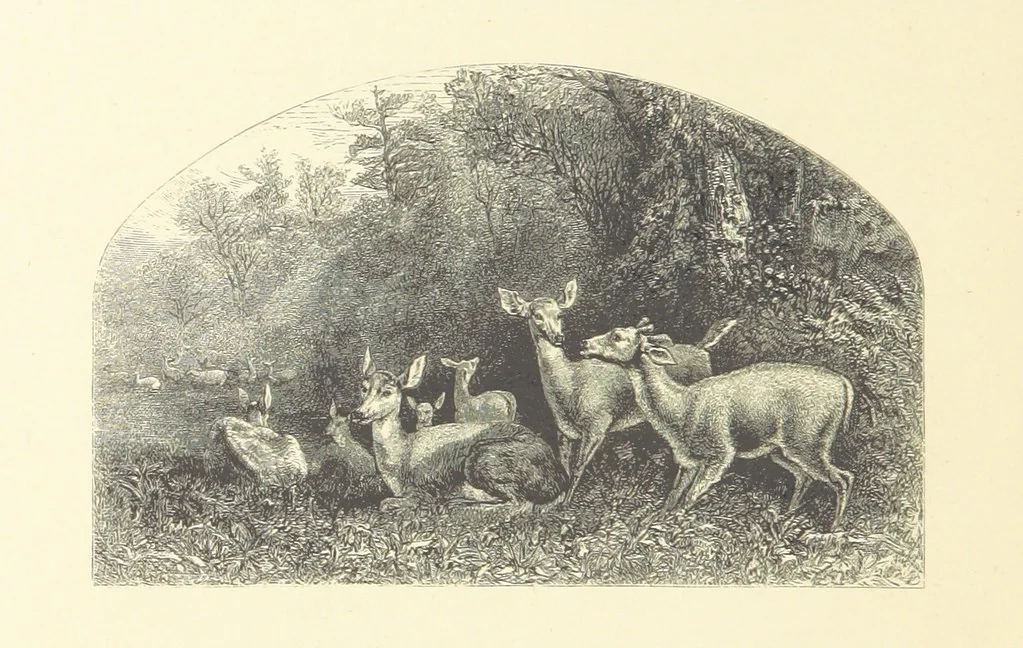 An illustration from Festival of Song: a series of Evenings with the Poets. Prepared by the author of “Salad for the Solitary” ... (F. Saunders). With ... pictures by Members of the National Academy of Design. Engraved by Bobbett and Hooper, 1866, leaf 30