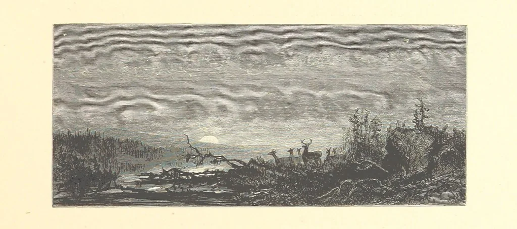 An illustration from Festival of Song: a series of Evenings with the Poets. Prepared by the author of “Salad for the Solitary” ... (F. Saunders). With ... pictures by Members of the National Academy of Design. Engraved by Bobbett and Hooper, 1866, leaf 325