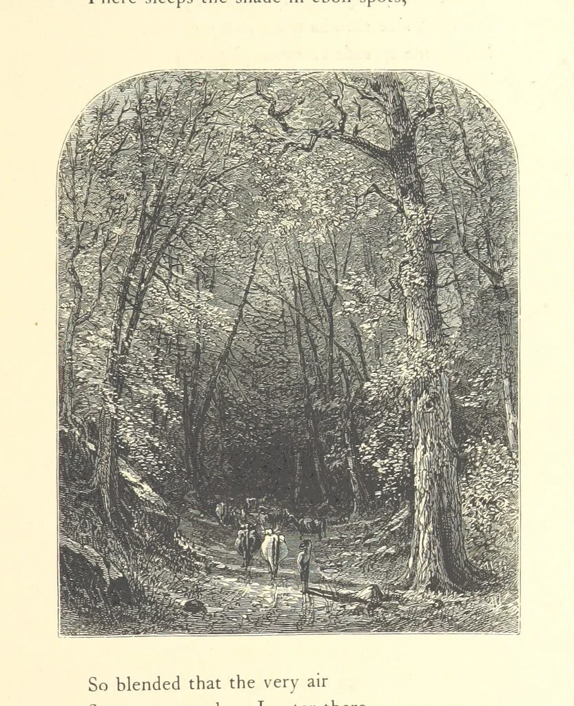 An illustration from Festival of Song: a series of Evenings with the Poets. Prepared by the author of “Salad for the Solitary” ... (F. Saunders). With ... pictures by Members of the National Academy of Design. Engraved by Bobbett and Hooper, 1866, leaf 355