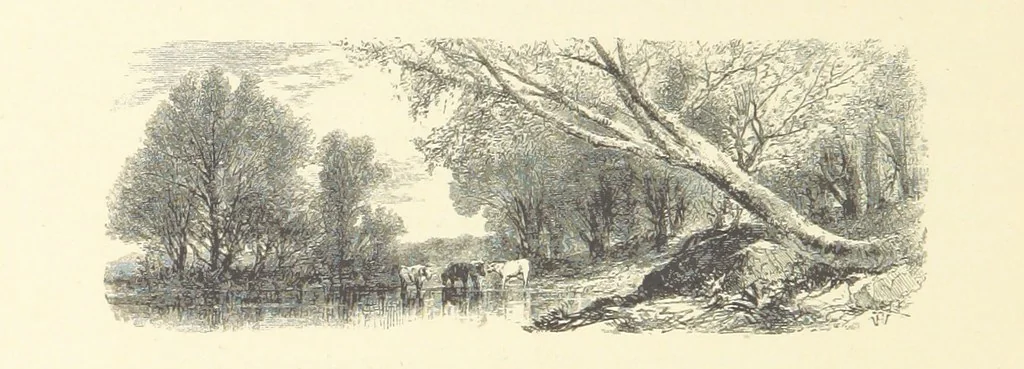 An illustration from Festival of Song: a series of Evenings with the Poets. Prepared by the author of “Salad for the Solitary” ... (F. Saunders). With ... pictures by Members of the National Academy of Design. Engraved by Bobbett and Hooper, 1866, leaf 36