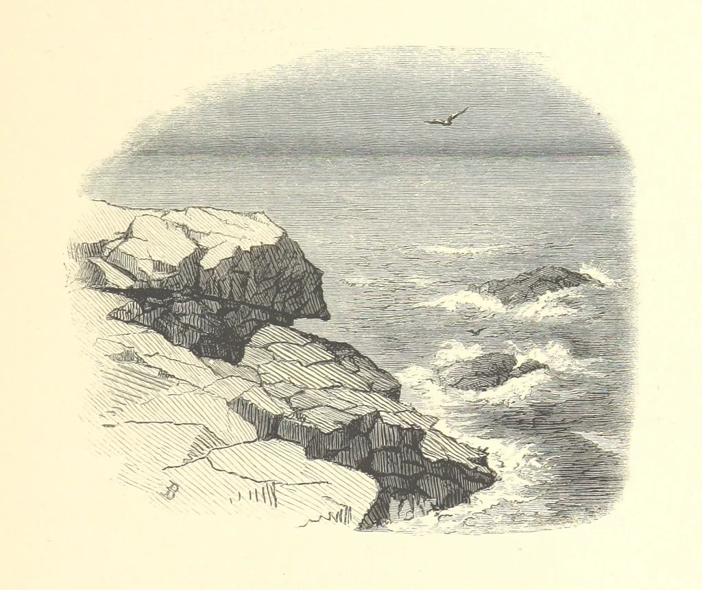 An illustration from Festival of Song: a series of Evenings with the Poets. Prepared by the author of “Salad for the Solitary” ... (F. Saunders). With ... pictures by Members of the National Academy of Design. Engraved by Bobbett and Hooper, 1866, leaf 361