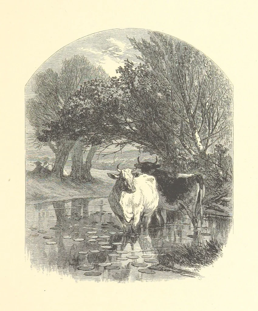 An illustration from Festival of Song: a series of Evenings with the Poets. Prepared by the author of “Salad for the Solitary” ... (F. Saunders). With ... pictures by Members of the National Academy of Design. Engraved by Bobbett and Hooper, 1866, leaf 395