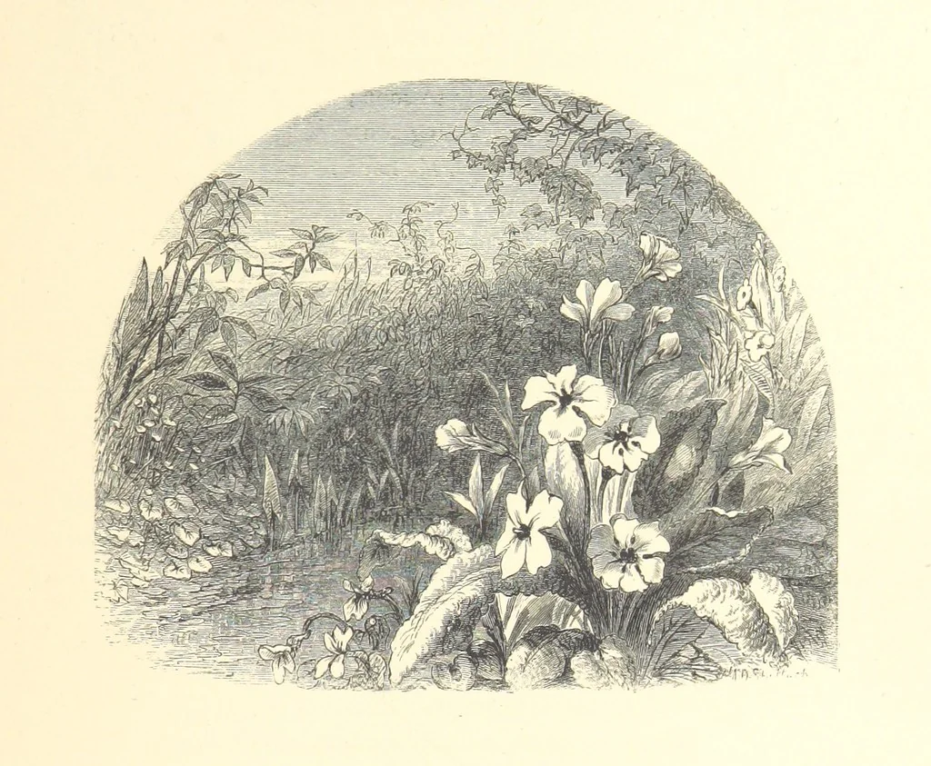 An illustration from Festival of Song: a series of Evenings with the Poets. Prepared by the author of “Salad for the Solitary” ... (F. Saunders). With ... pictures by Members of the National Academy of Design. Engraved by Bobbett and Hooper, 1866, leaf 65