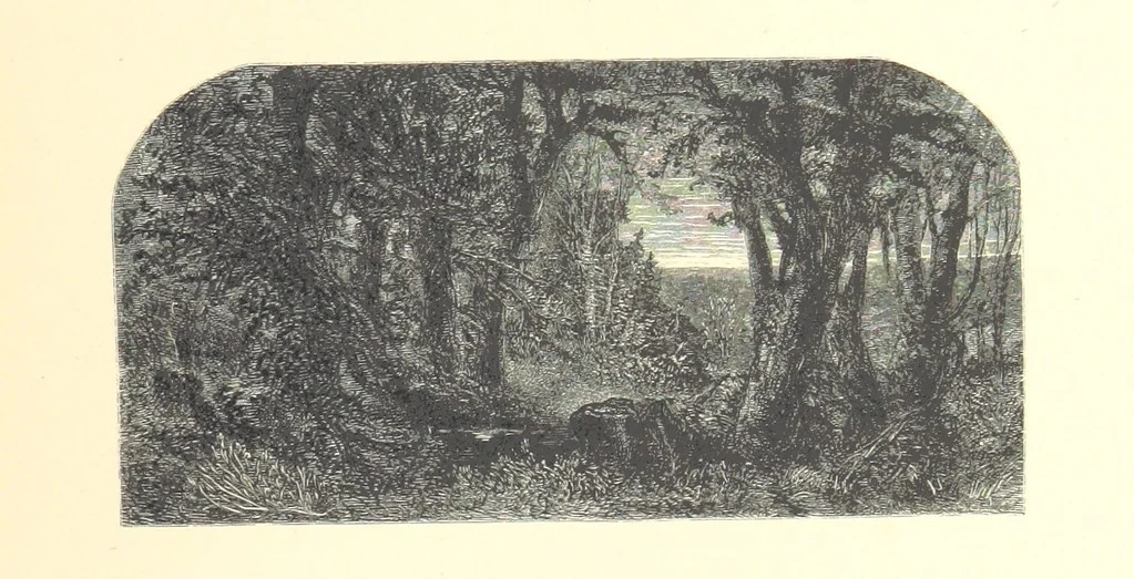 An illustration from Festival of Song: a series of Evenings with the Poets. Prepared by the author of “Salad for the Solitary” ... (F. Saunders). With ... pictures by Members of the National Academy of Design. Engraved by Bobbett and Hooper, 1866, leaf 91