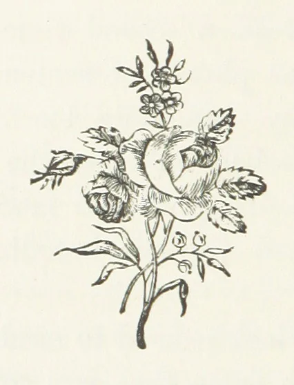An illustration from The Sherlocks. [A novel, 1879, leaf 142