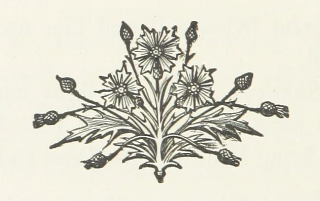 An illustration from The Sherlocks. [A novel, 1879, leaf 272