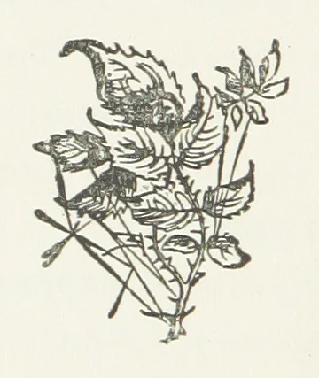 An illustration from The Sherlocks. [A novel, 1879, leaf 314
