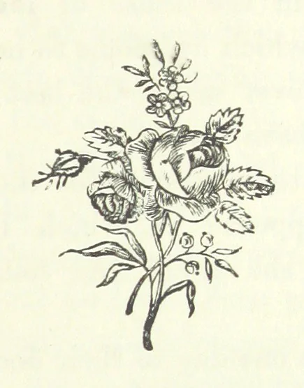 An illustration from The Sherlocks. [A novel, 1879, leaf 69