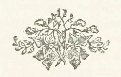 An illustration from The Sherlocks. [A novel, 1879, leaf 166