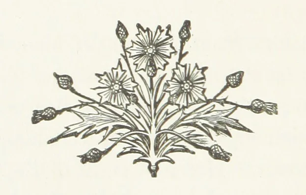 An illustration from The Sherlocks. [A novel, 1879, leaf 222
