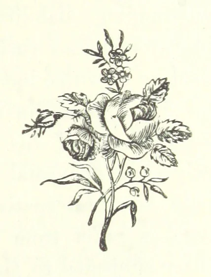 An illustration from The Sherlocks. [A novel, 1879, leaf 49