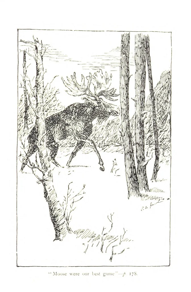 An illustration from Beautiful Joe: the autobiography of a dog ... New edition, 1894, leaf 191