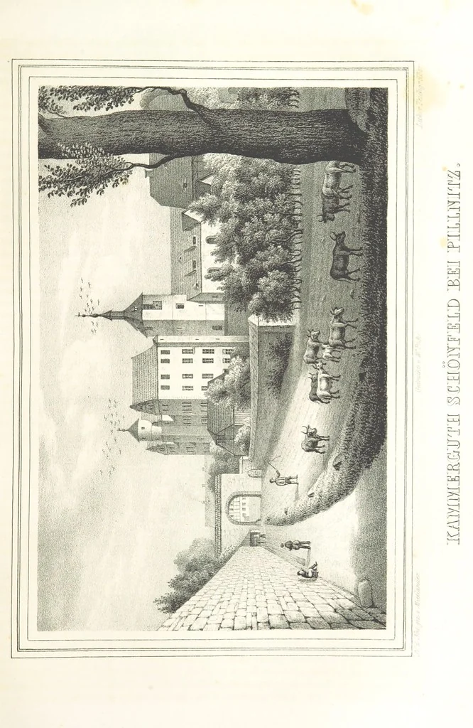 An illustration from Sachsen sonst und jetzt. Historisches Werk ... Mit Beiträgen von W. Schäfer, C. A. L. Friedrich, F. Lubojatzky u. m. A. Nebst 54 lithographirten Beilagen, 1847, leaf 169