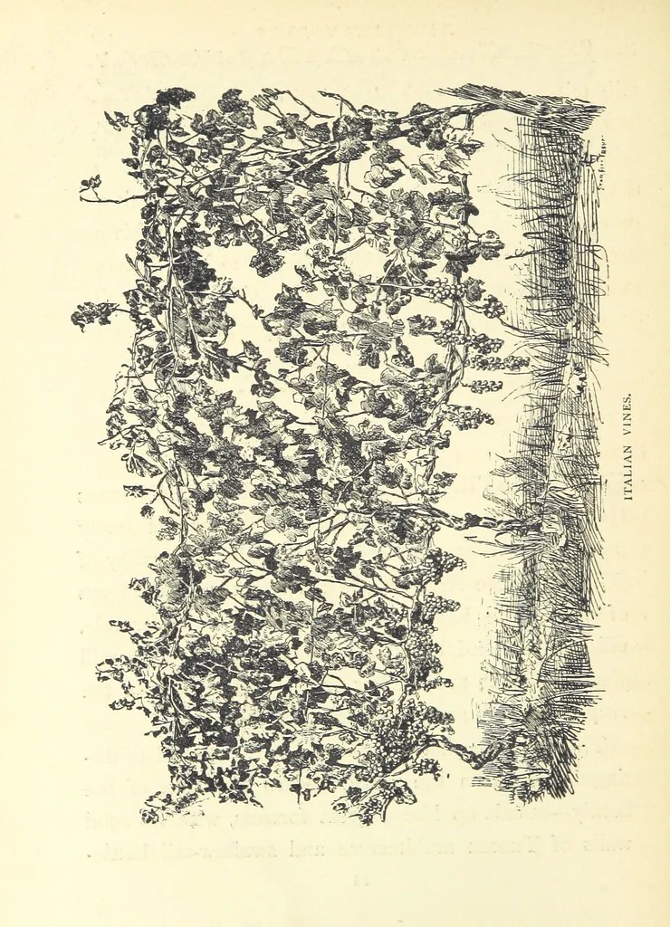 An illustration from Tuscan Studies and Sketches. ... Illustrated, 1887, leaf 166