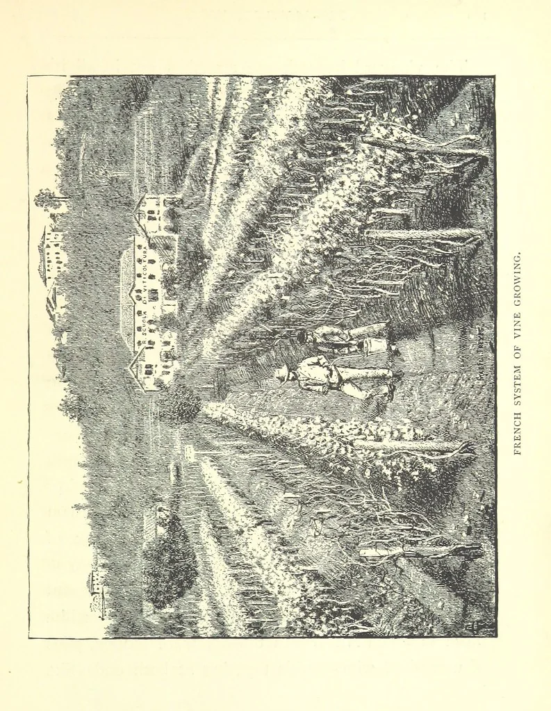 An illustration from Tuscan Studies and Sketches. ... Illustrated, 1887, leaf 173