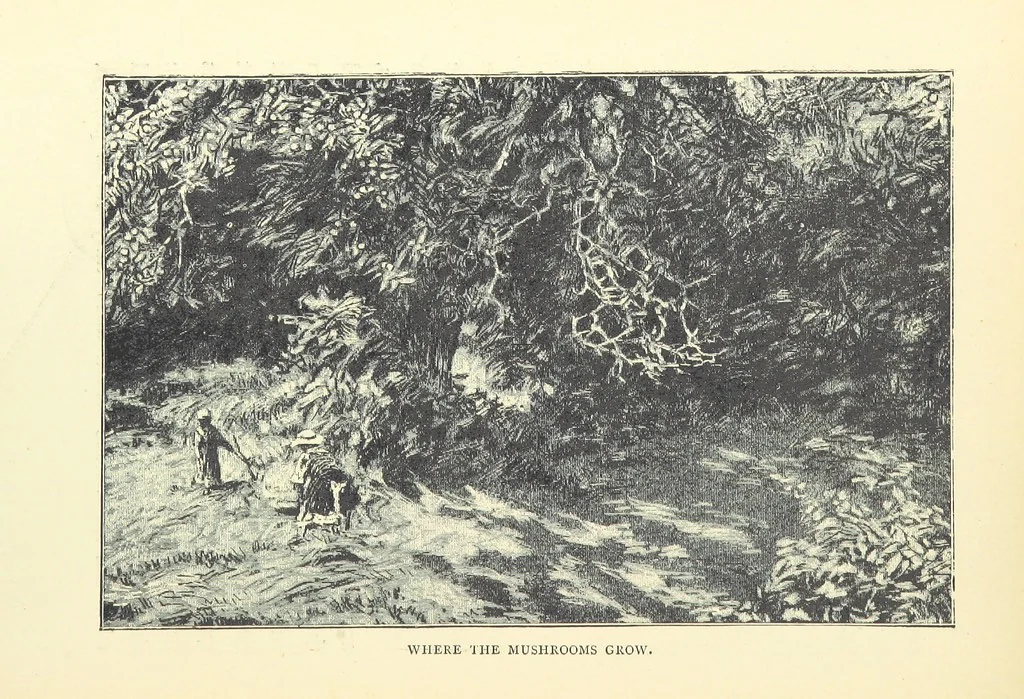 An illustration from Tuscan Studies and Sketches. ... Illustrated, 1887, leaf 240