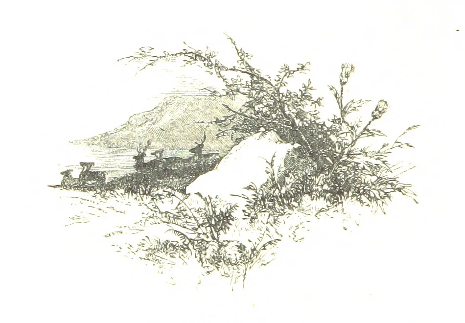 An illustration from The Poetical Works of Sir Walter Scott ... With a memoir of the author. Illustrated by many engravings, etc, 1857, leaf 766