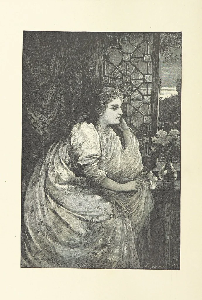 An illustration from The Lay of the Last Minstrel. By Sir Walter Scott. With notes and a chronological summary of his life, and index, 1887, leaf 10