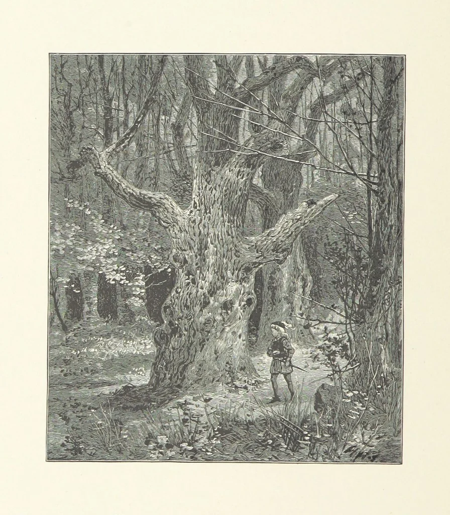An illustration from The Lay of the Last Minstrel. By Sir Walter Scott. With notes and a chronological summary of his life, and index, 1887, leaf 96