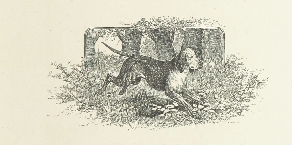 An illustration from The Lay of the Last Minstrel. By Sir Walter Scott. With notes and a chronological summary of his life, and index, 1887, leaf 97