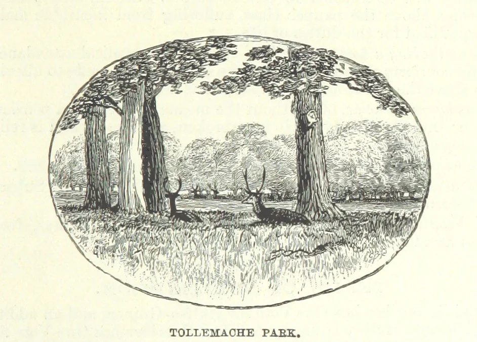 An illustration from The Story of a Tour ... Illustrated, etc, 1898, leaf 55