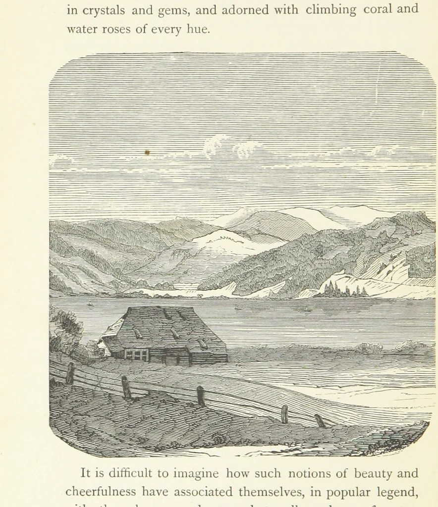 An illustration from The Black Forest, its people and legends. [With maps and illustrations, 1879, leaf 180