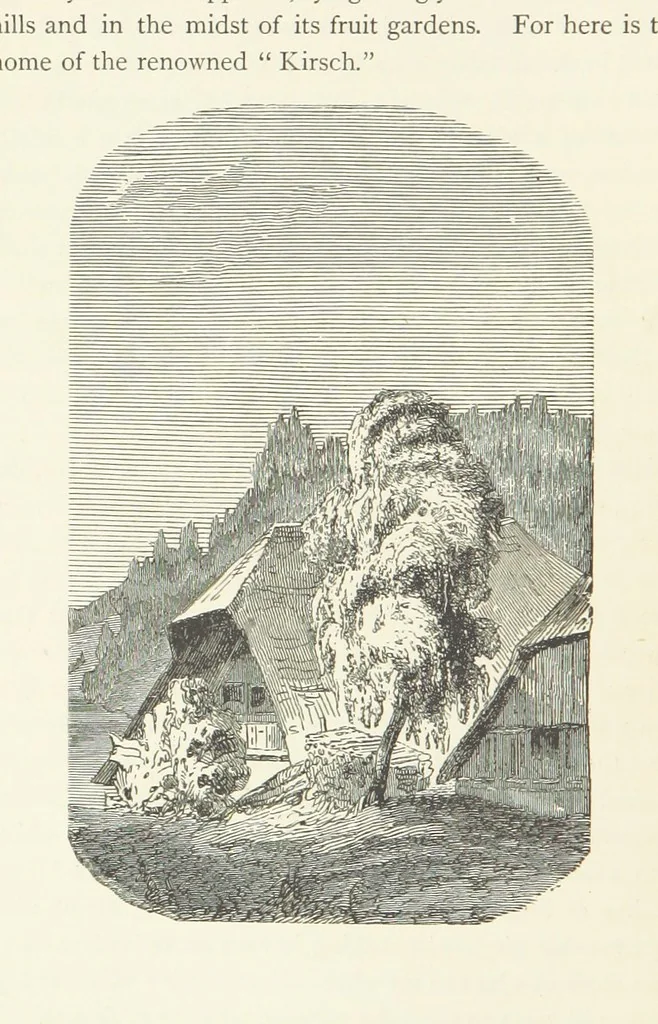 An illustration from The Black Forest, its people and legends. [With maps and illustrations, 1879, leaf 190