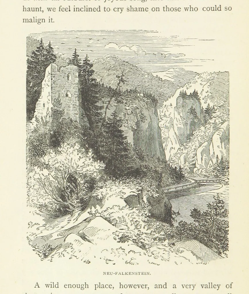An illustration from The Black Forest, its people and legends. [With maps and illustrations, 1879, leaf 304
