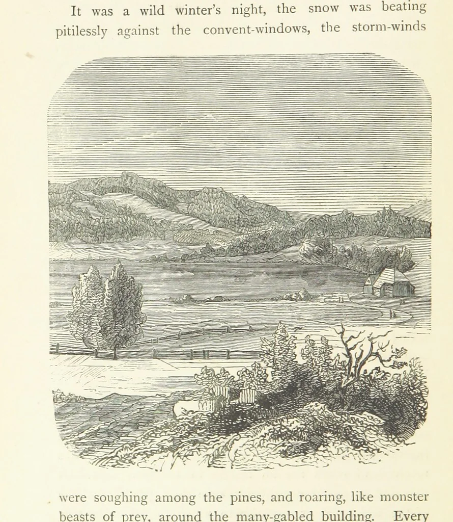 An illustration from The Black Forest, its people and legends. [With maps and illustrations, 1879, leaf 324