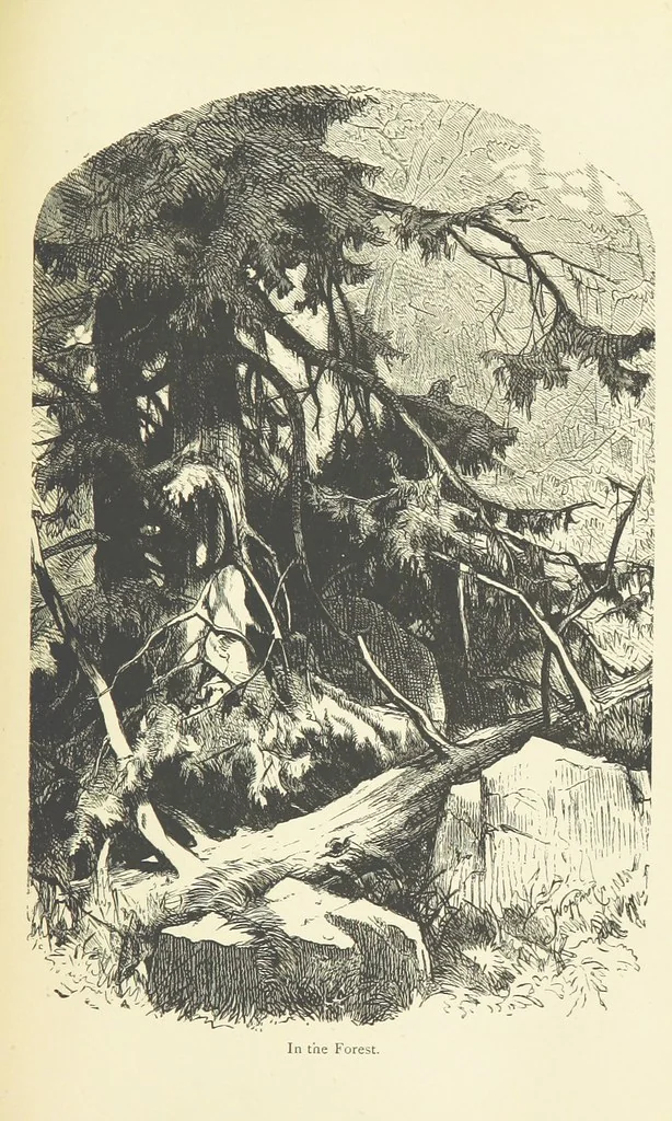 An illustration from The country of the Passion-play. The Highlands and Highlanders of Bavaria, 1880, leaf 157
