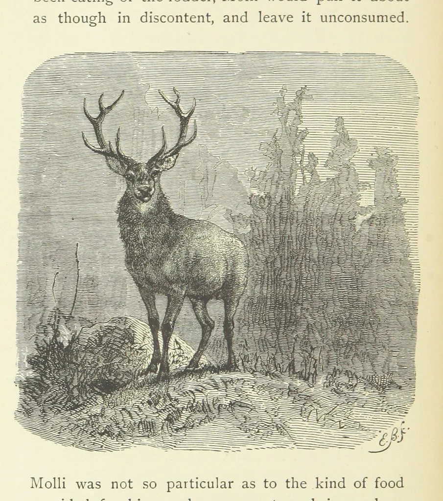 An illustration from The country of the Passion-play. The Highlands and Highlanders of Bavaria, 1880, leaf 170