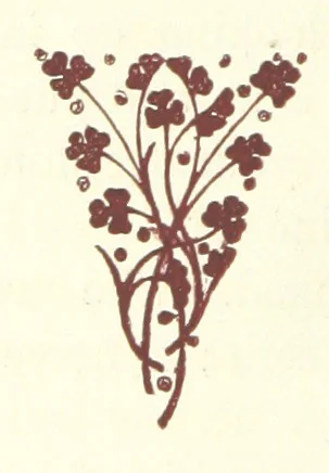 An illustration from An Open Foe. A romance, 1884, leaf 108