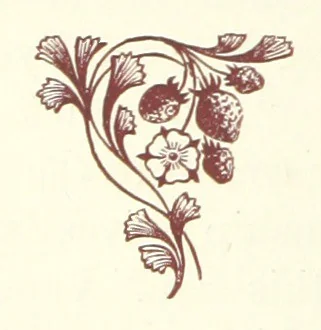 An illustration from An Open Foe. A romance, 1884, leaf 198