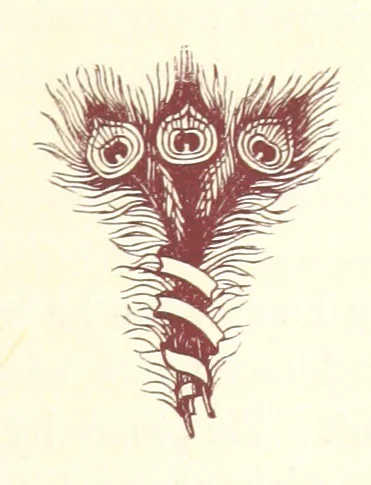 An illustration from An Open Foe. A romance, 1884, leaf 217