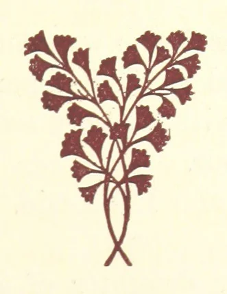 An illustration from An Open Foe. A romance, 1884, leaf 35