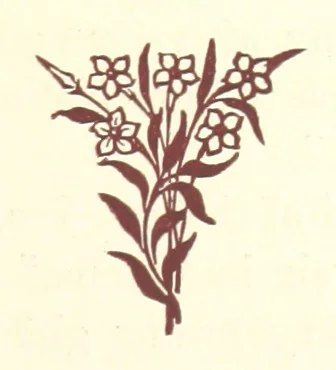 An illustration from An Open Foe. A romance, 1884, leaf 53