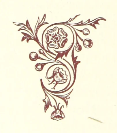 An illustration from An Open Foe. A romance, 1884, leaf 70