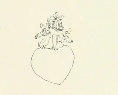 An illustration from The Child World. [In verse.] ... Illustrated by C. Robinson, 1896, leaf 155