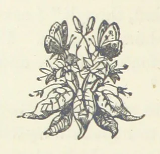 An illustration from Chums: a tale for the youngsters. Illustrated, etc, 1878, leaf 74